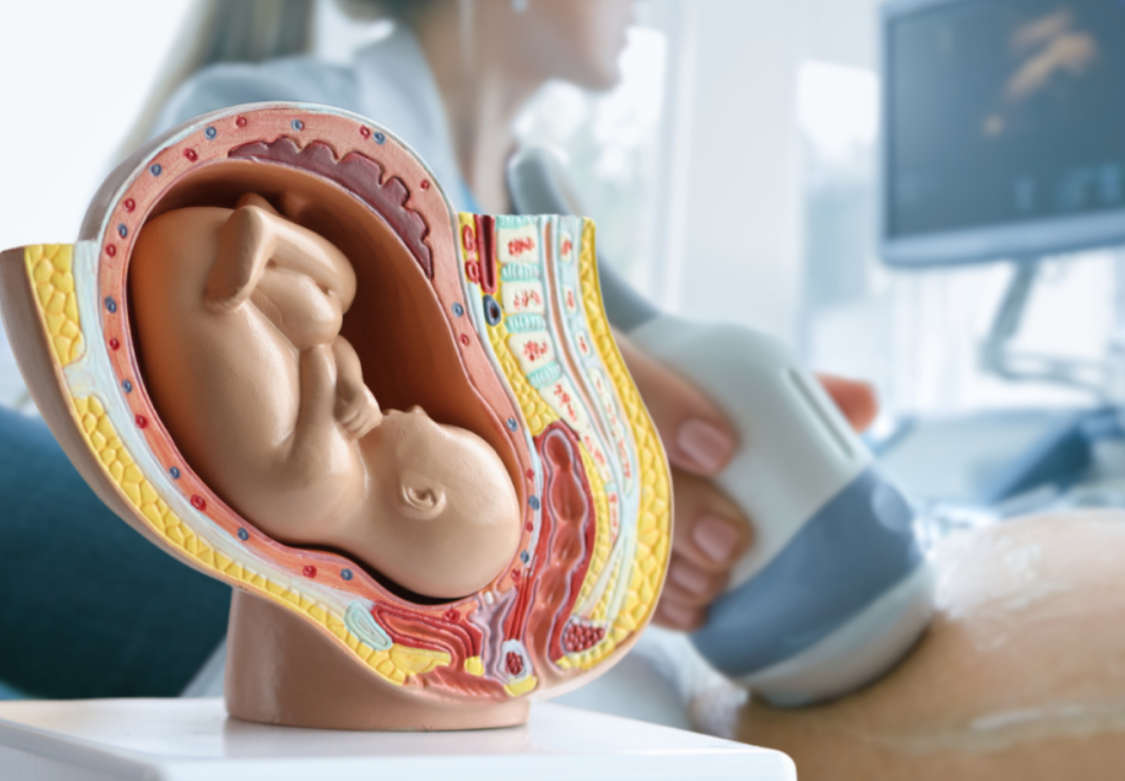Gynecology and Obstetric Surgeries