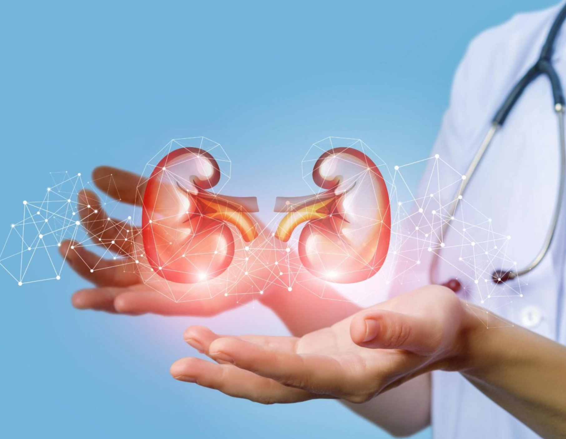 Nephrology
