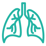 Pulmonology