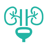 Urology