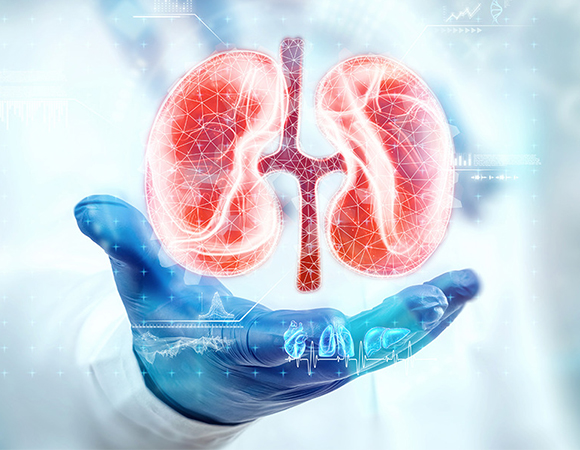 urology