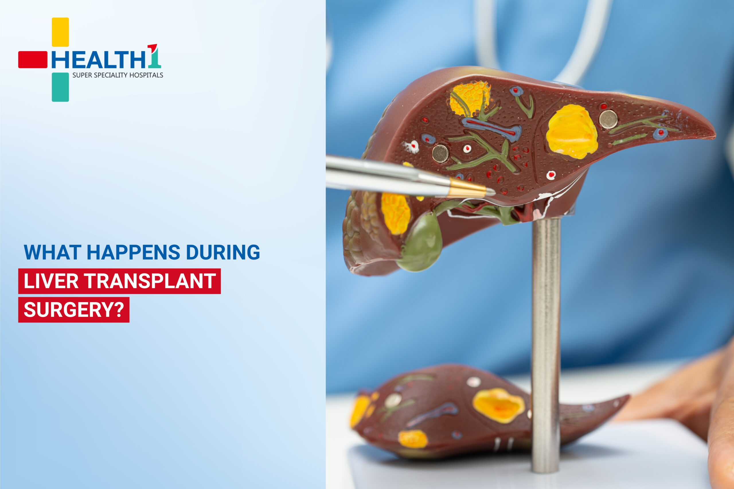 Liver Transplant Center in Ahmedabad